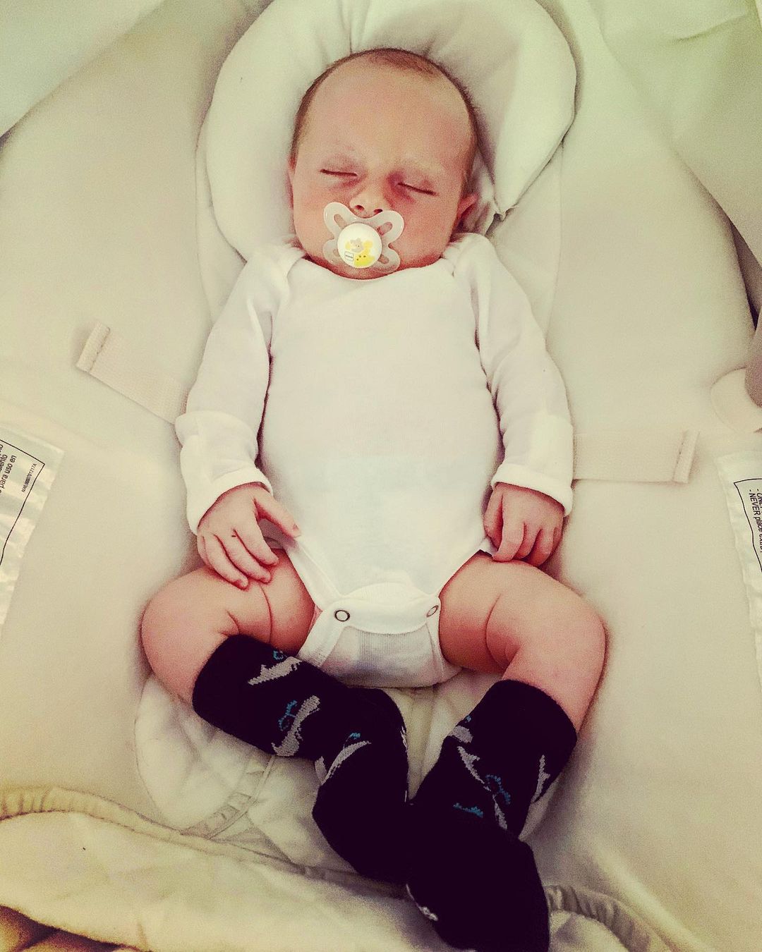 Whale Socks - Toddler Crew Sock - Navy - 5 Pairs