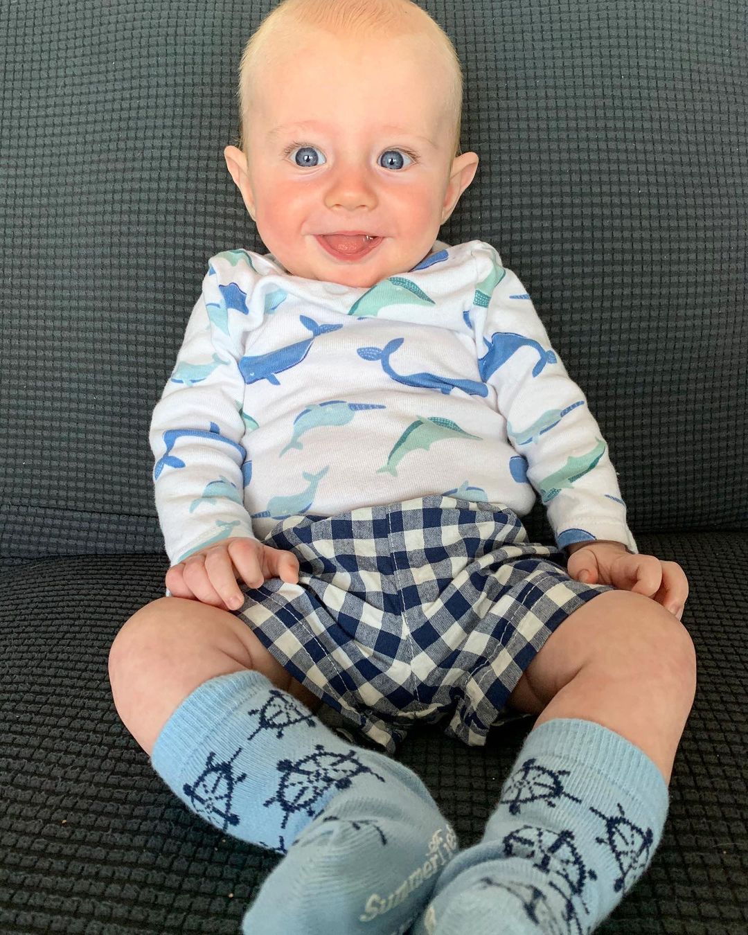 Ship Wheel Socks - Toddler Crew Sock - Navy on Blue - 5 Pairs