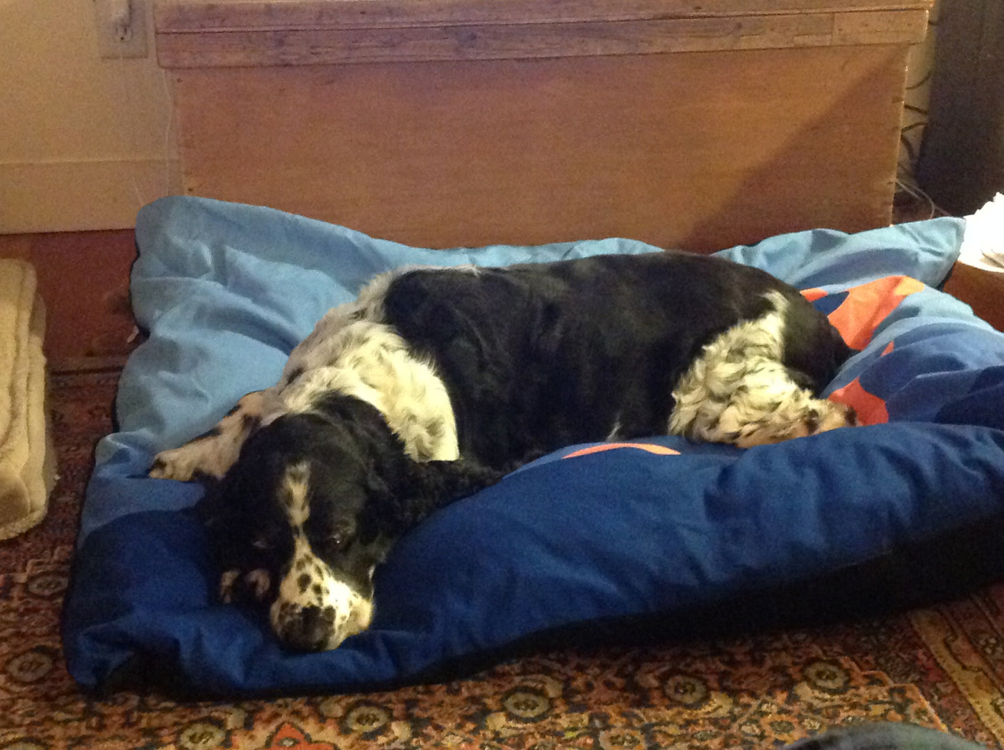 Skunk Dog Bed - SummerTies