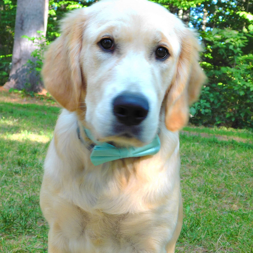 Solid Color Bow Tie - Light Green, Woven Silk, Kids Pre-Tied - SummerTies