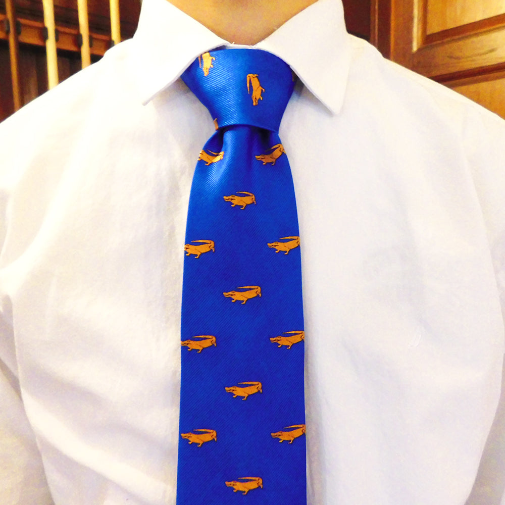 Alligator Necktie - Blue, Woven Silk - SummerTies