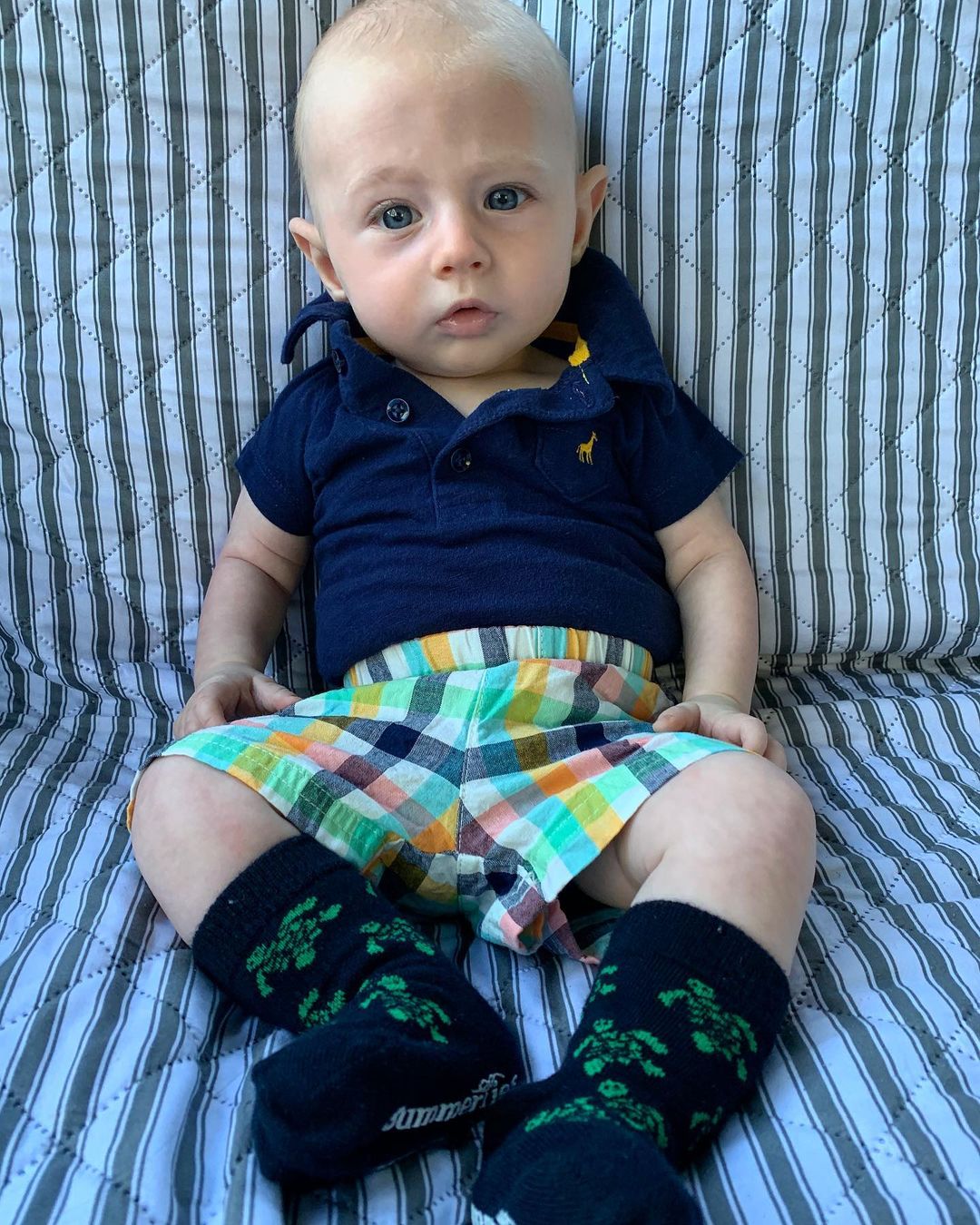 Turtle Socks - Toddler Crew Sock - Green on Navy - 5 Pairs