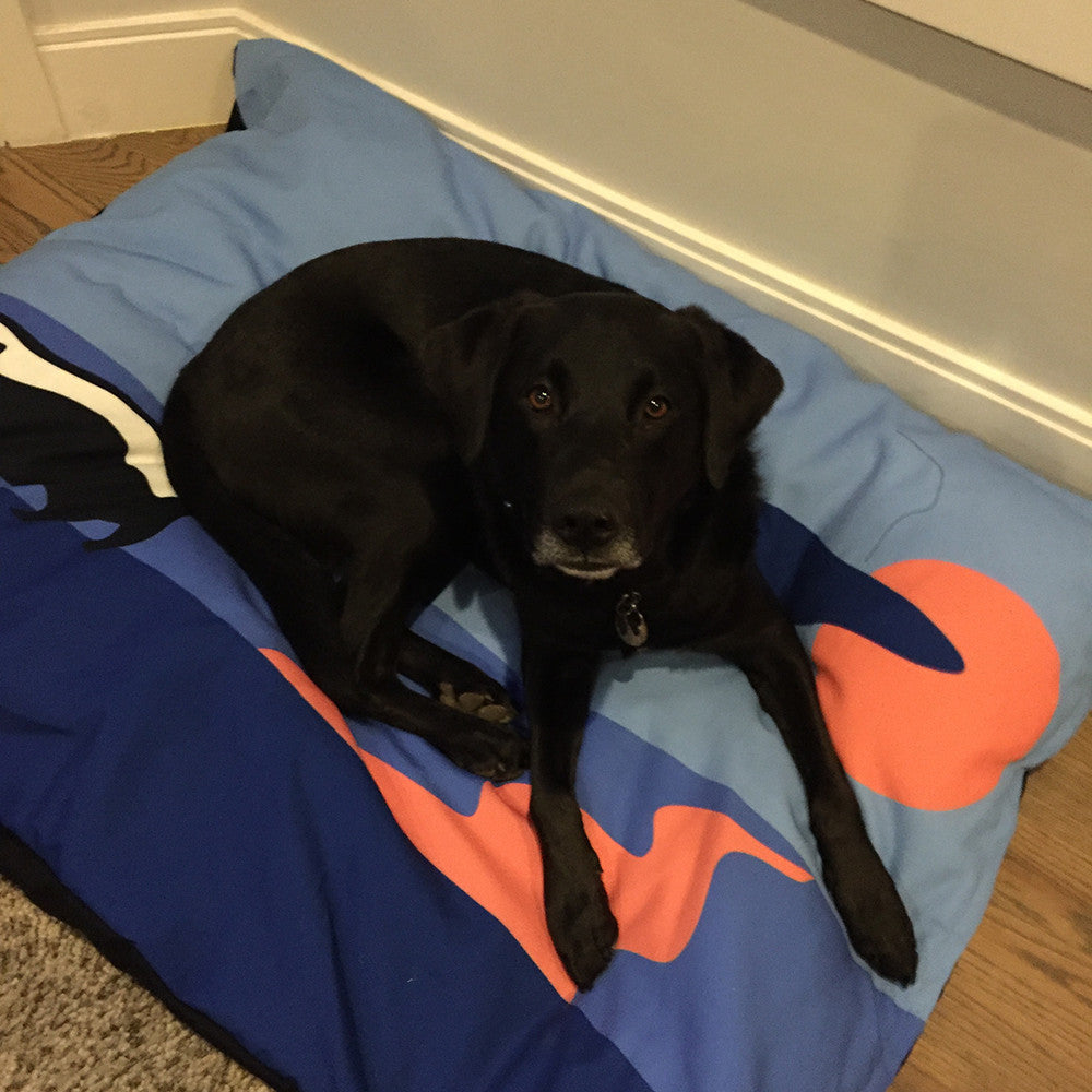 Skunk Dog Bed - SummerTies