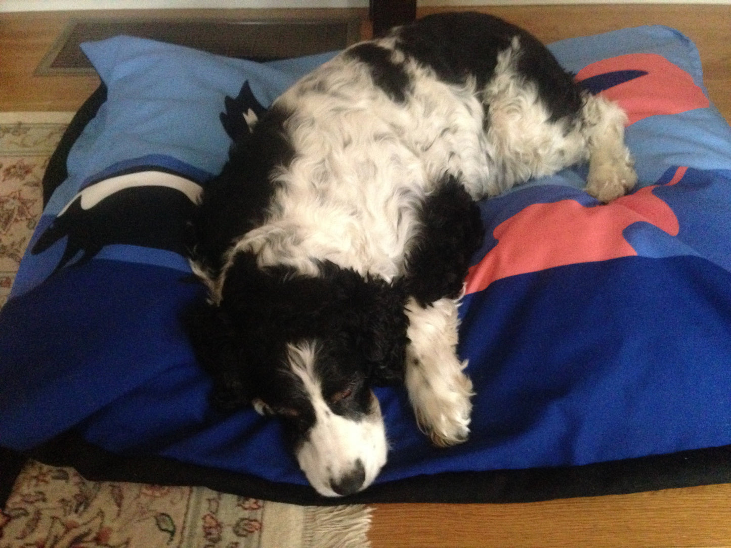 Skunk Dog Bed - SummerTies