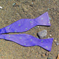 Palm Tree Bow Tie - Purple, Woven Silk - SummerTies